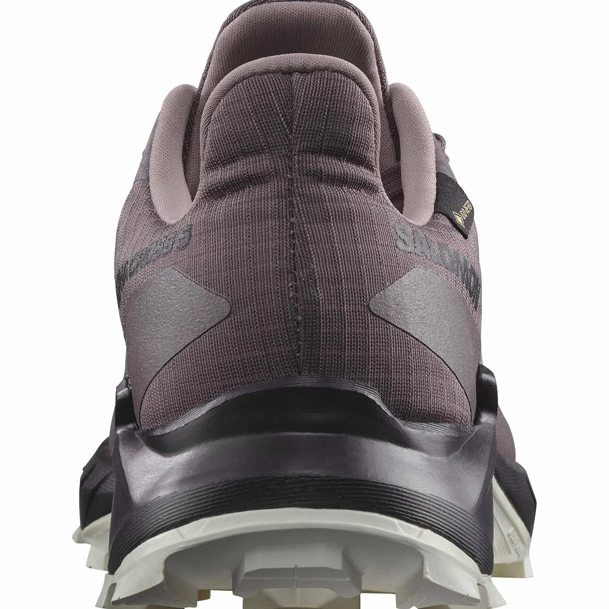 Salomon ALPHACROSS 5 Gore-Tex Impermeabili Scarpe da Trail Running, Donna