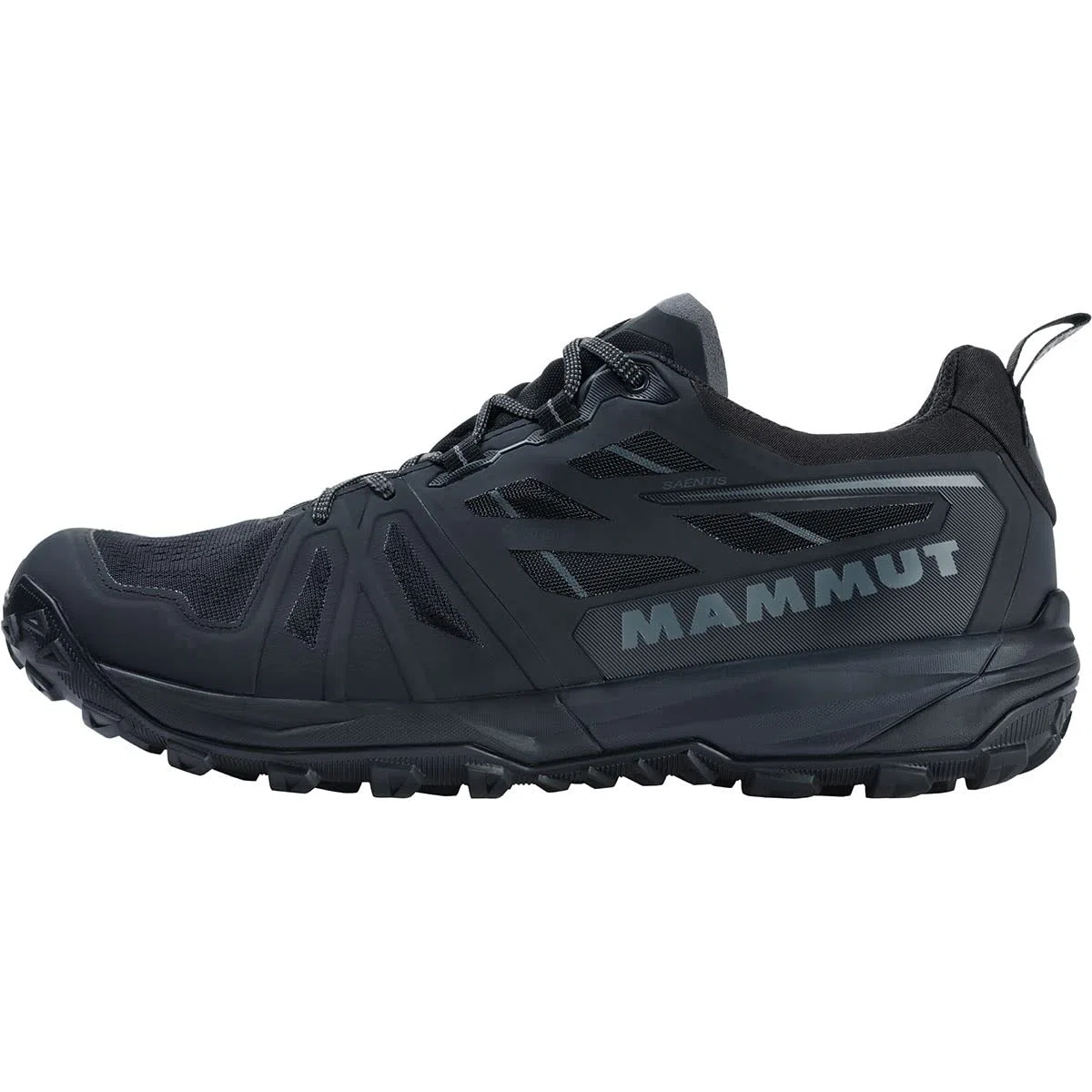 Mammut Saentis Low GTX Women