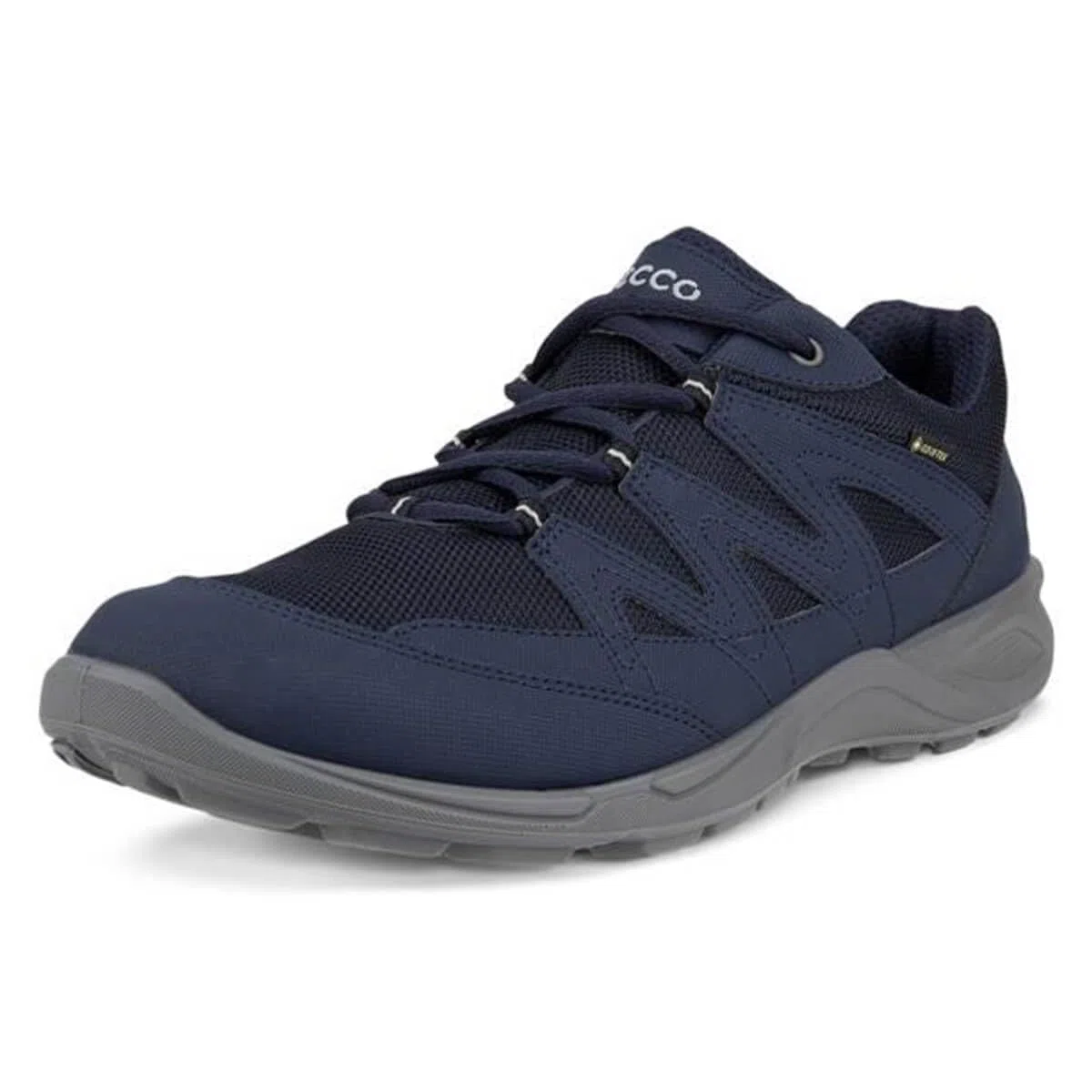 ECCO Terracruise Lt GTX Scarpe da Escursione/passeggioUomo