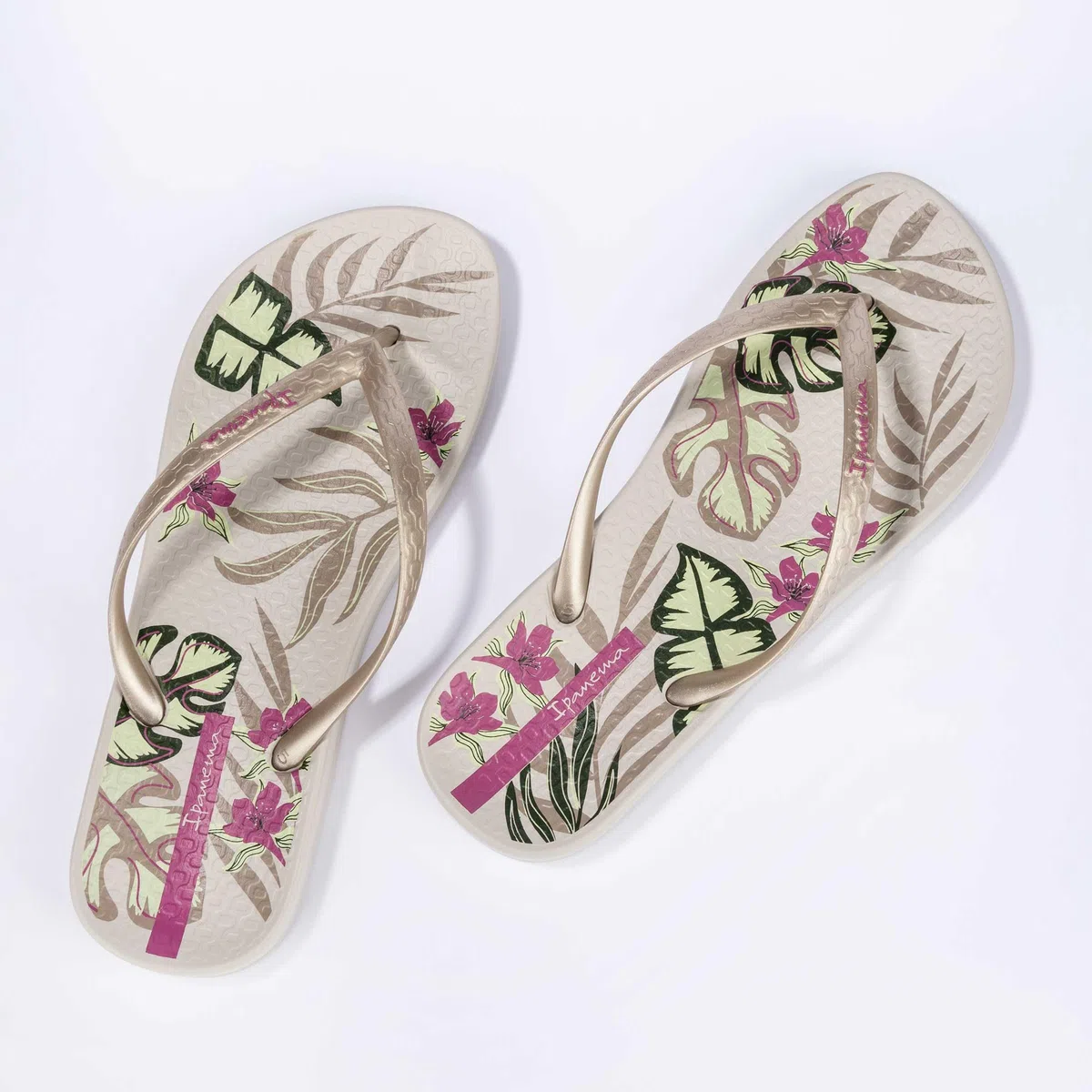 Ipanema Ipanema Anat. Temas Xvi Fem Flip-FlopDonna