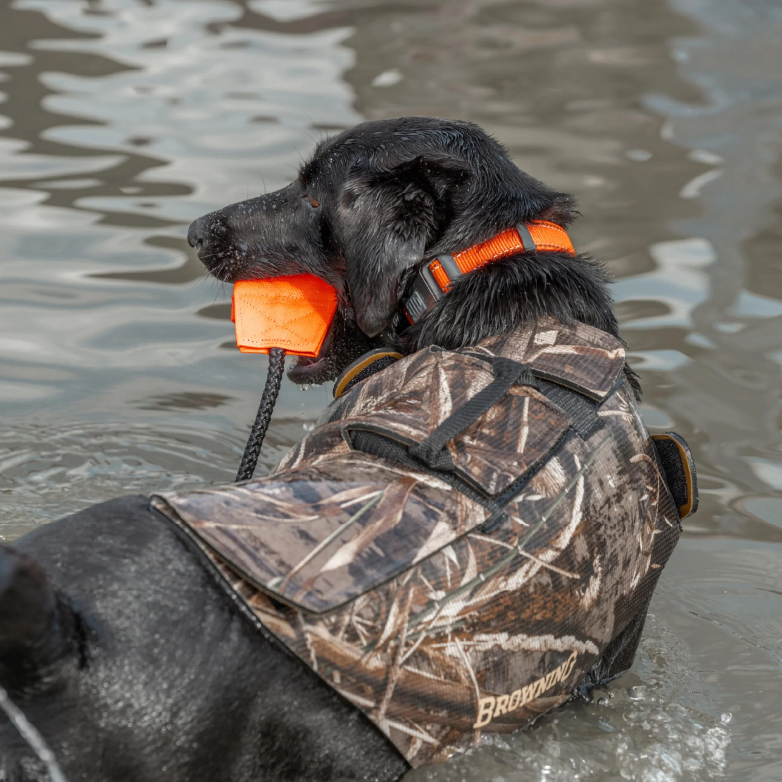 Browning Gilet in neoprene per cani da 5 mm con manico grande, Realtree MAX-5 (5 mm), L UK
