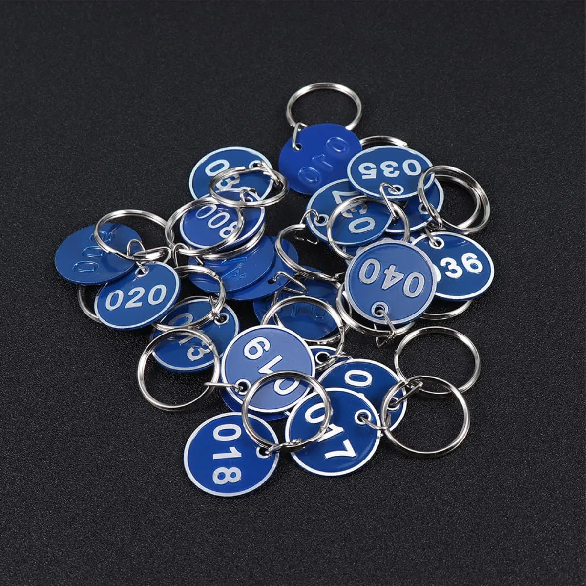 GALPADA Etichette Numeriche in Metallo Portachiavi, Set da 1 a 100 Targhette Numerate in Alluminio Resistenti per Identificazione Bagagli, Chiavi e Ufficio, Uso Domestico e Hotel