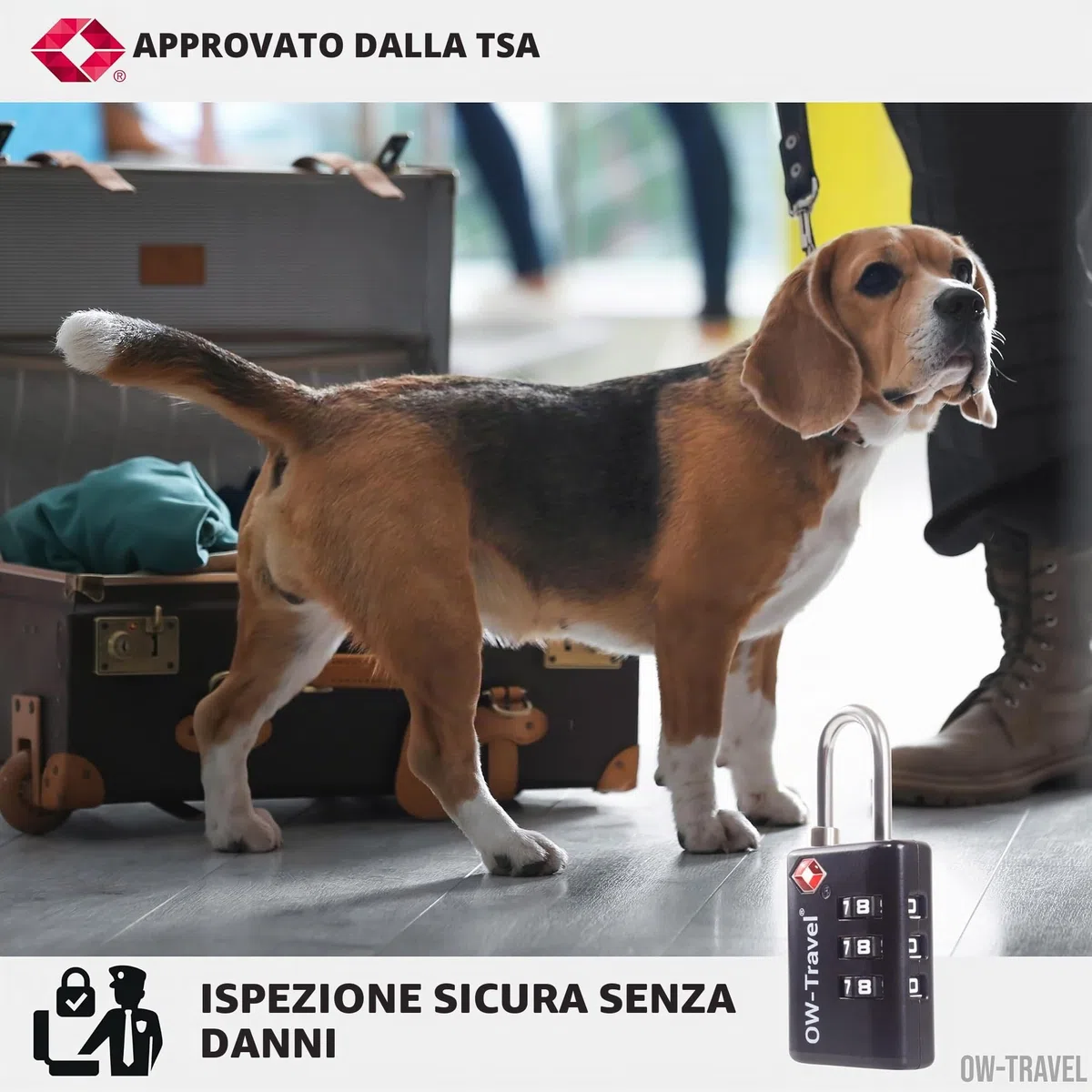 OW-Travel Lucchetto Combinazione Valigia con Indicatore di Apertura TSA per Valigie e Bagagli. Lucchetto Armadietto Palestra e Zaino. Lucchetti TSA per USA a Codice. Serratura Nera 4 Pezzi