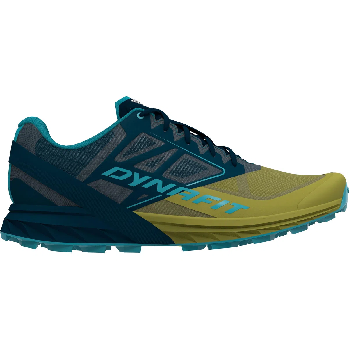 DYNAFIT Alpine, Scarpe Running Uomo