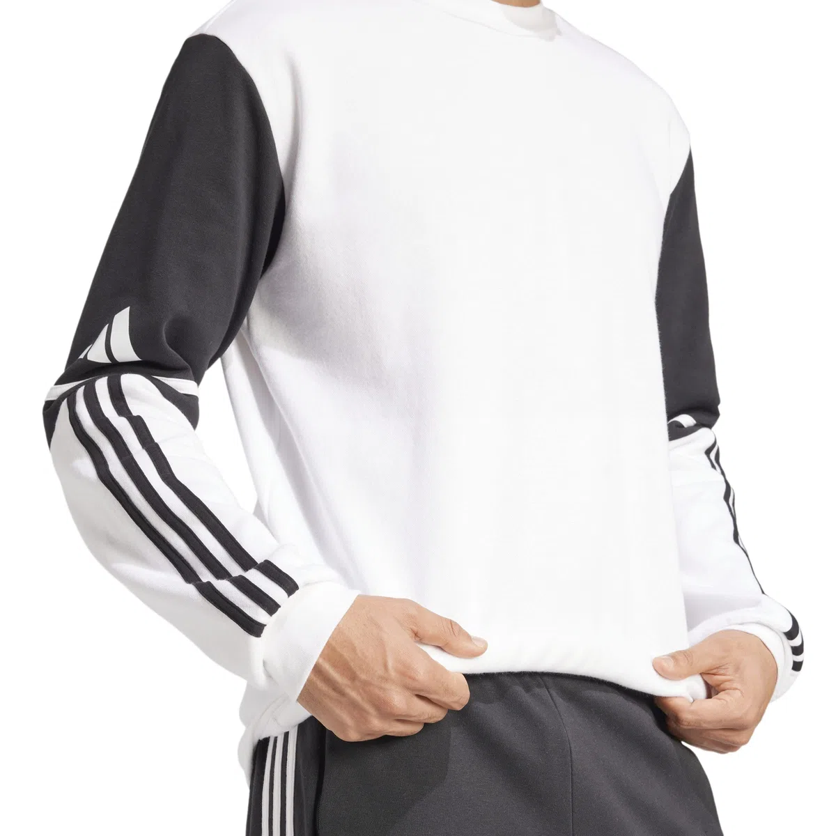 Adidas Squadra25 Sweat Crew Maglia di Tuta Uomo (Pacco da 1)