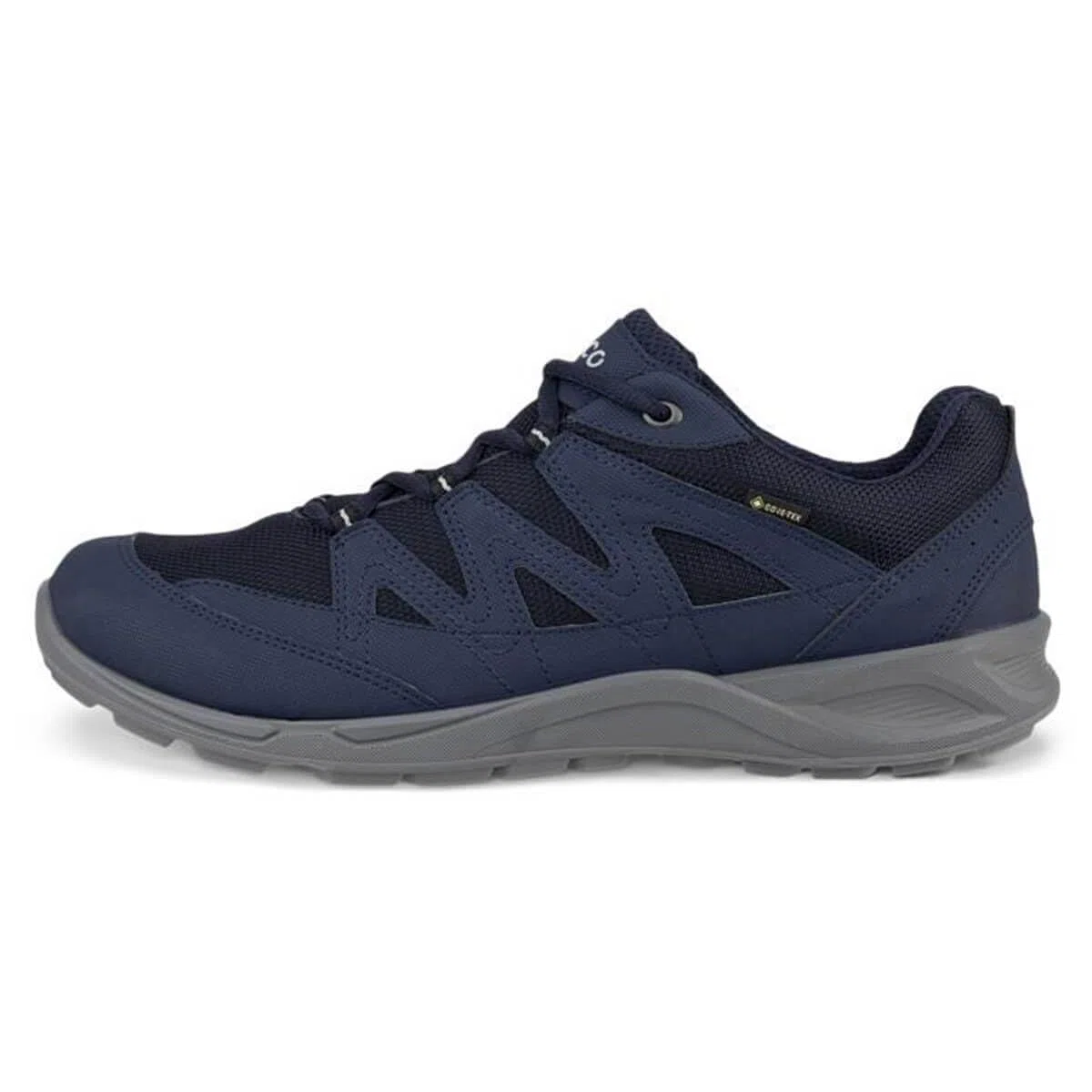 ECCO Terracruise Lt GTX Scarpe da Escursione/passeggioUomo