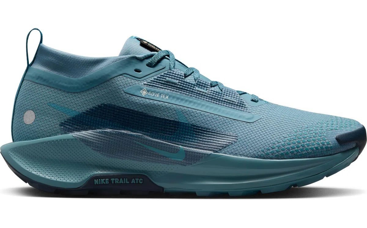 Nike Nike Pegasus Trail 5 Gore-Tex Wasserdichter Traillaufschuh für Herren Scarpe da trekkingUomo