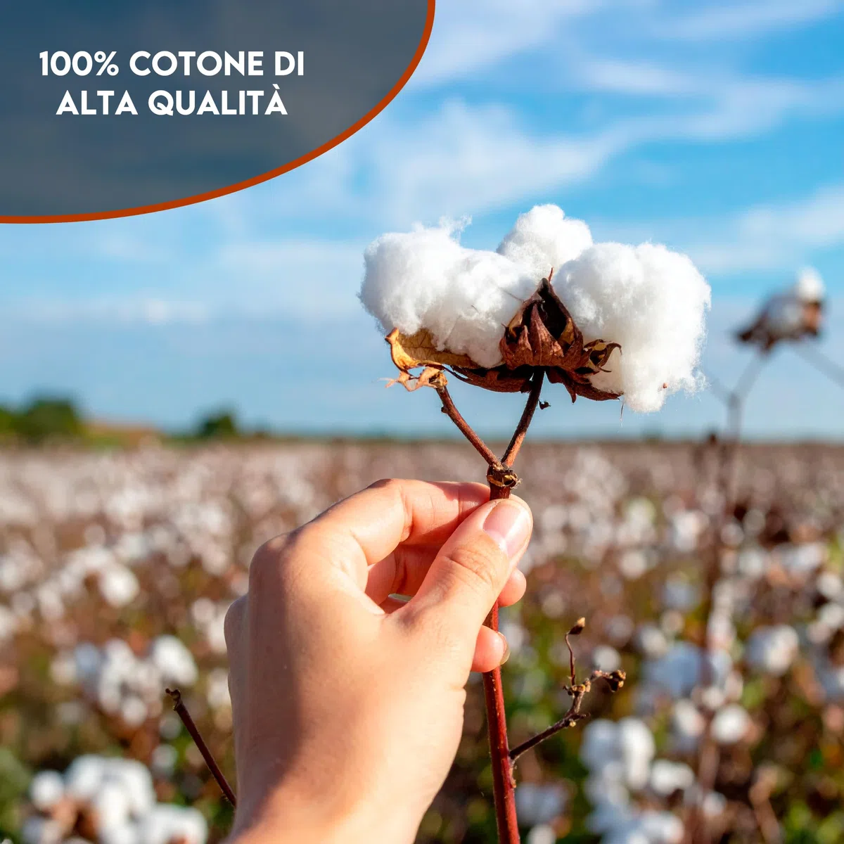 Canottiere Uomo Cotone 3pcs Comoda e Traspirante, Canotta Uomo Estiva Morbida e Resistente - Made in Italy - S/XXL