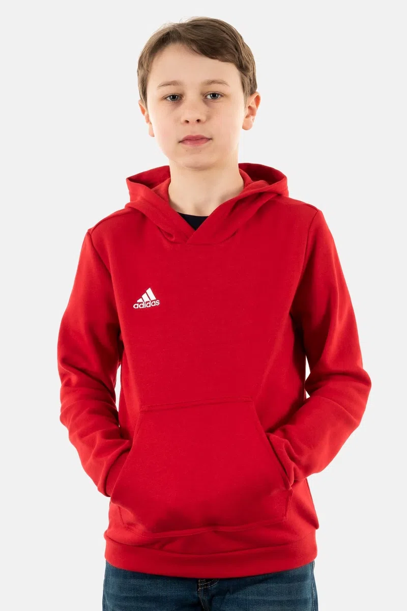 Adidas Unisex - Bambini e Ragazzi Entrada 22 Sweat Hoodie