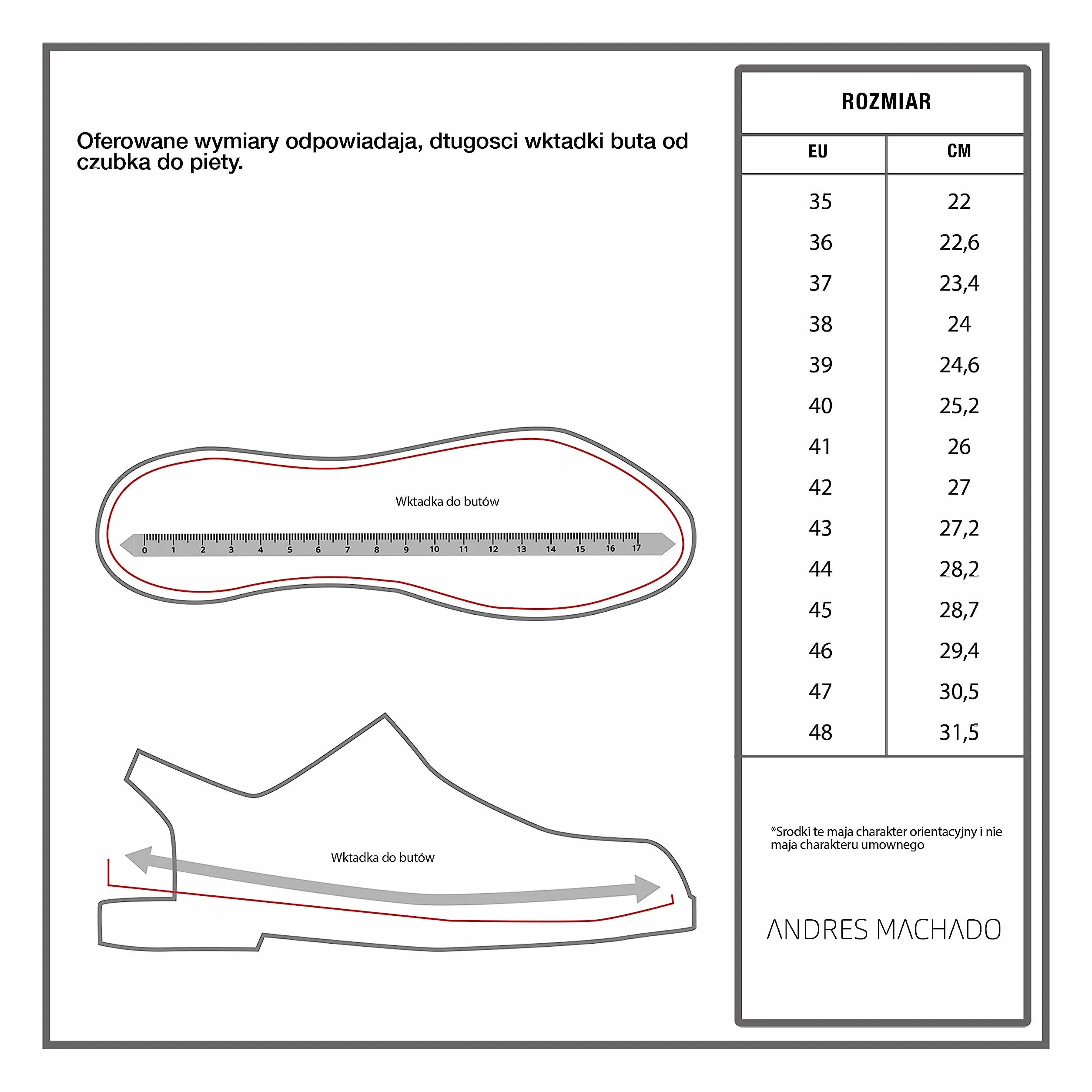 Andrés Machado AM188 - Sandali in PVC con Fibbia - Sandali Estivi Unisex - Donna e Uomo - Taglie dalla 35 EU alla 48 EU