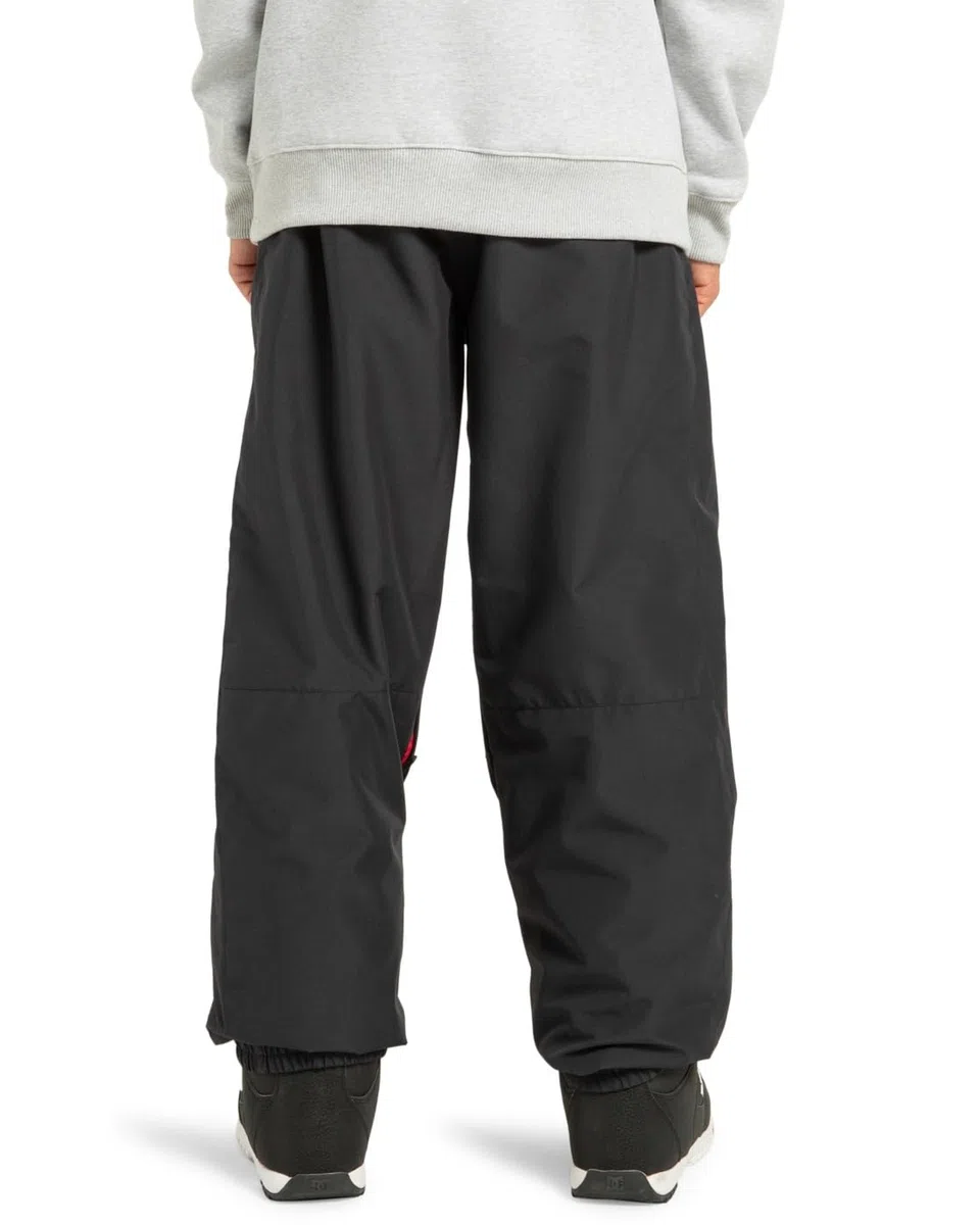 DC Shoes Primo ADYTP03051 Pantaloni da neve Technique da uomo.