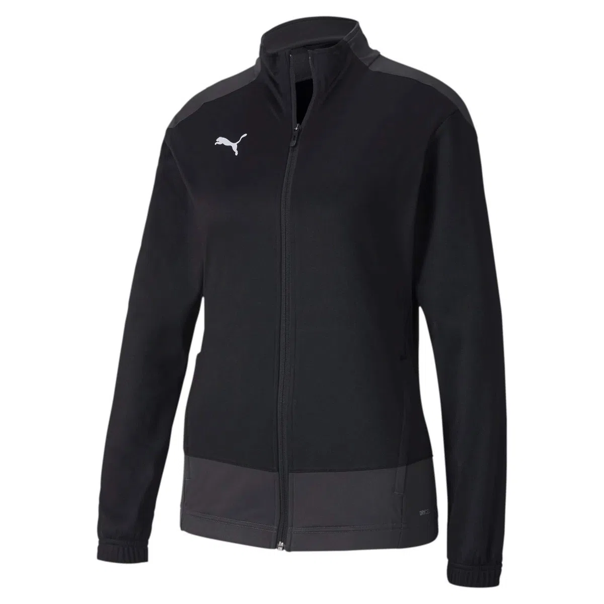 Puma Teamgoal 23 Training W