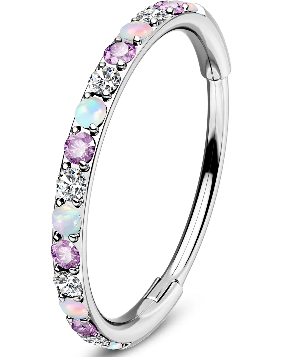 OUFER 20G Segmento a Cerniera Piercing Naso Acciaio Chirurgico 316L Nose Hoop Viola/Nero CZ Opale Orecchini Helix Conch Earring Per Le Donna 6/7/8 mm