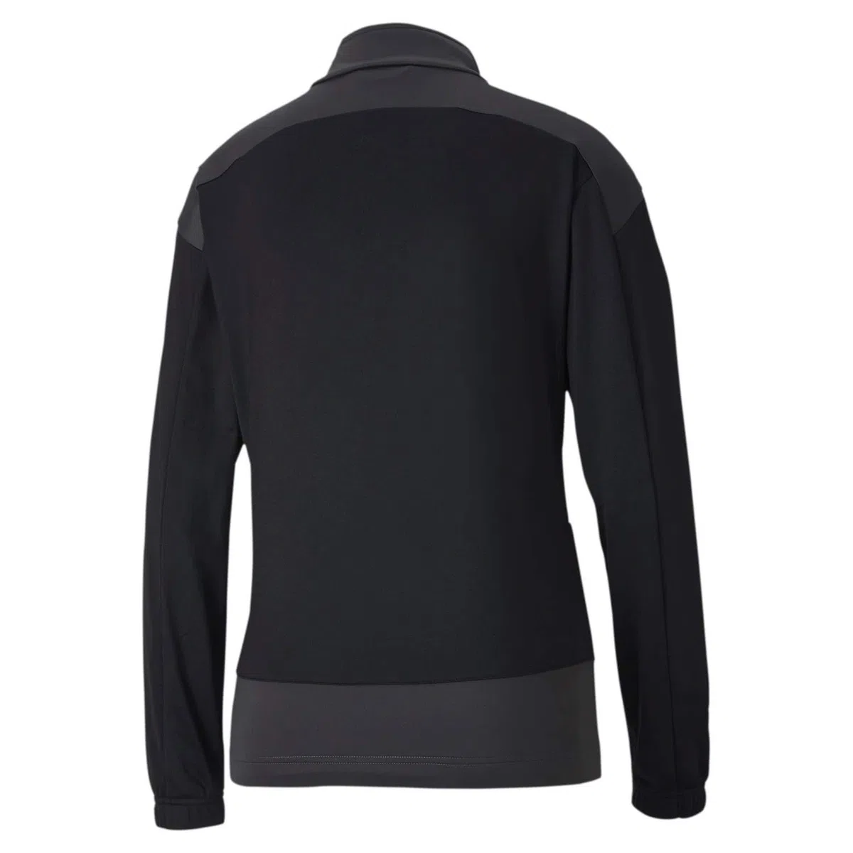 Puma Teamgoal 23 Training W