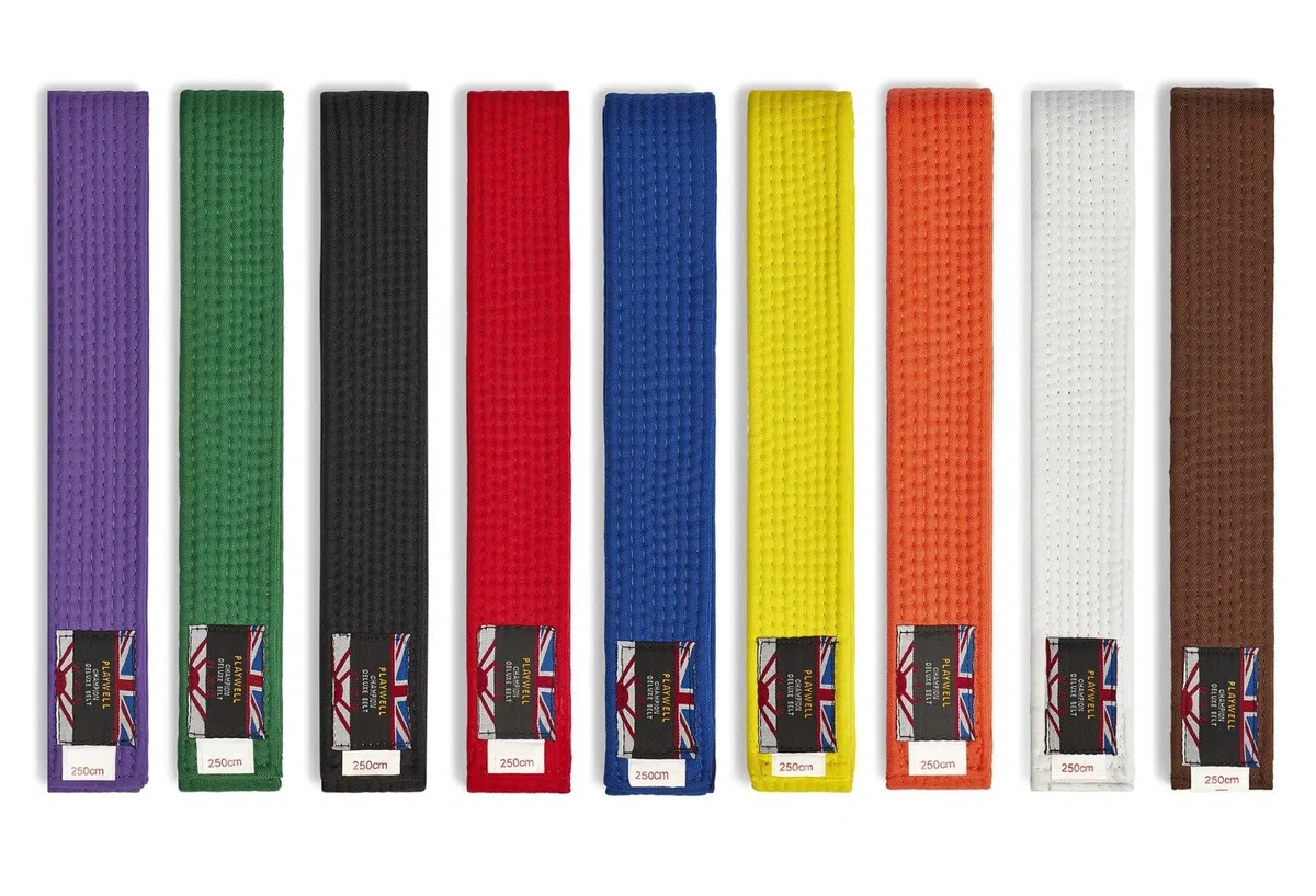 Playwell Cintura per arti marziali, in cotone, tinta unita, extra lunga, grande, per karate, judo, taekwondo, 340 cm o 360 cm