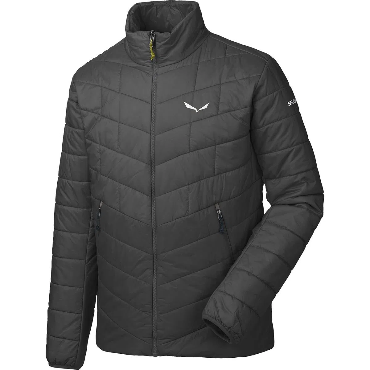 Salewa, Fanes Tw Clt M Jkt, Giacca, Uomo, Nero, 50/L